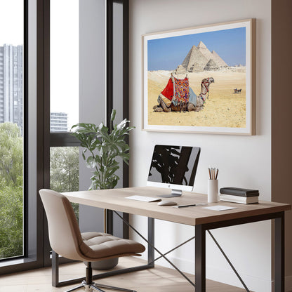 Camel Resting by the Pyramids Wall Art