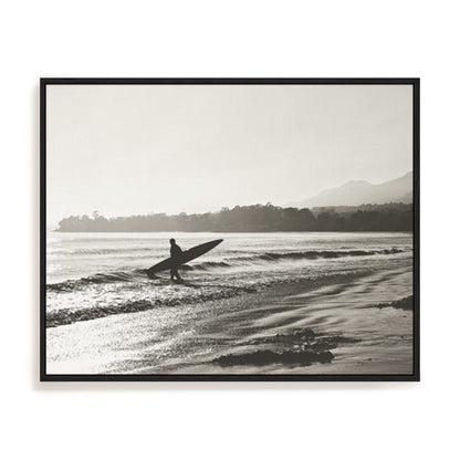 BW Surfer