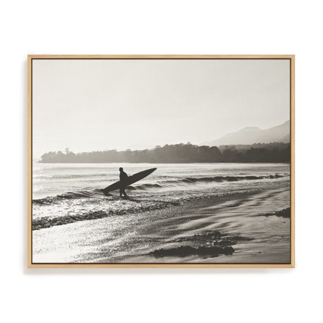 BW Surfer