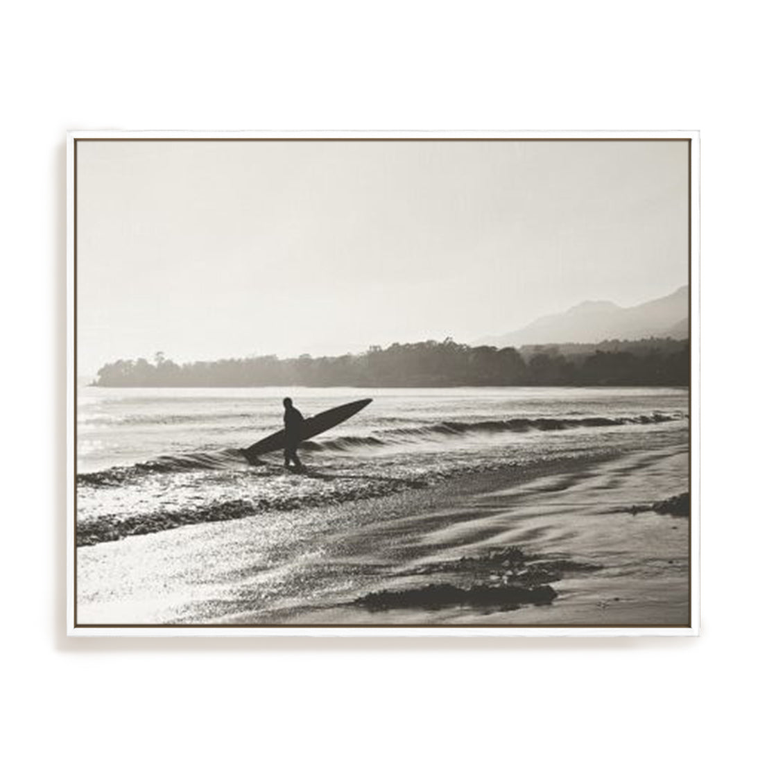 BW Surfer