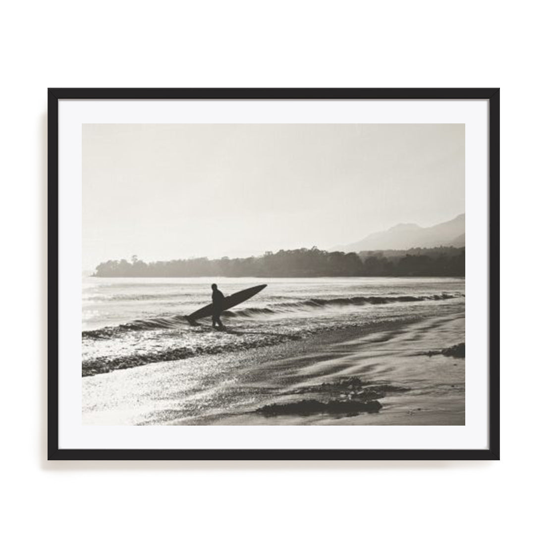 BW Surfer