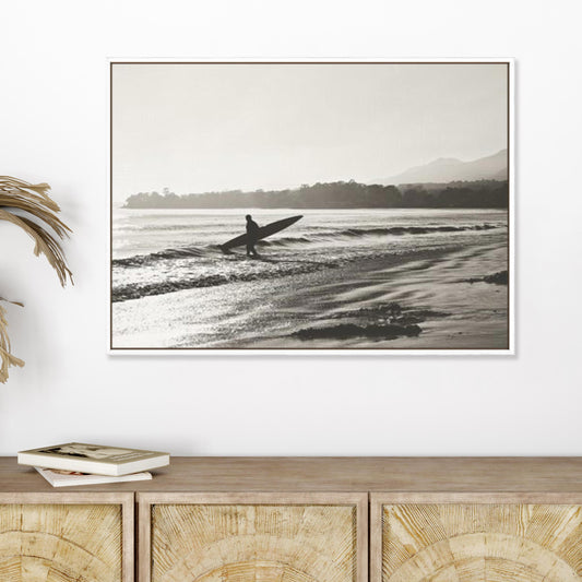 BW Surfer