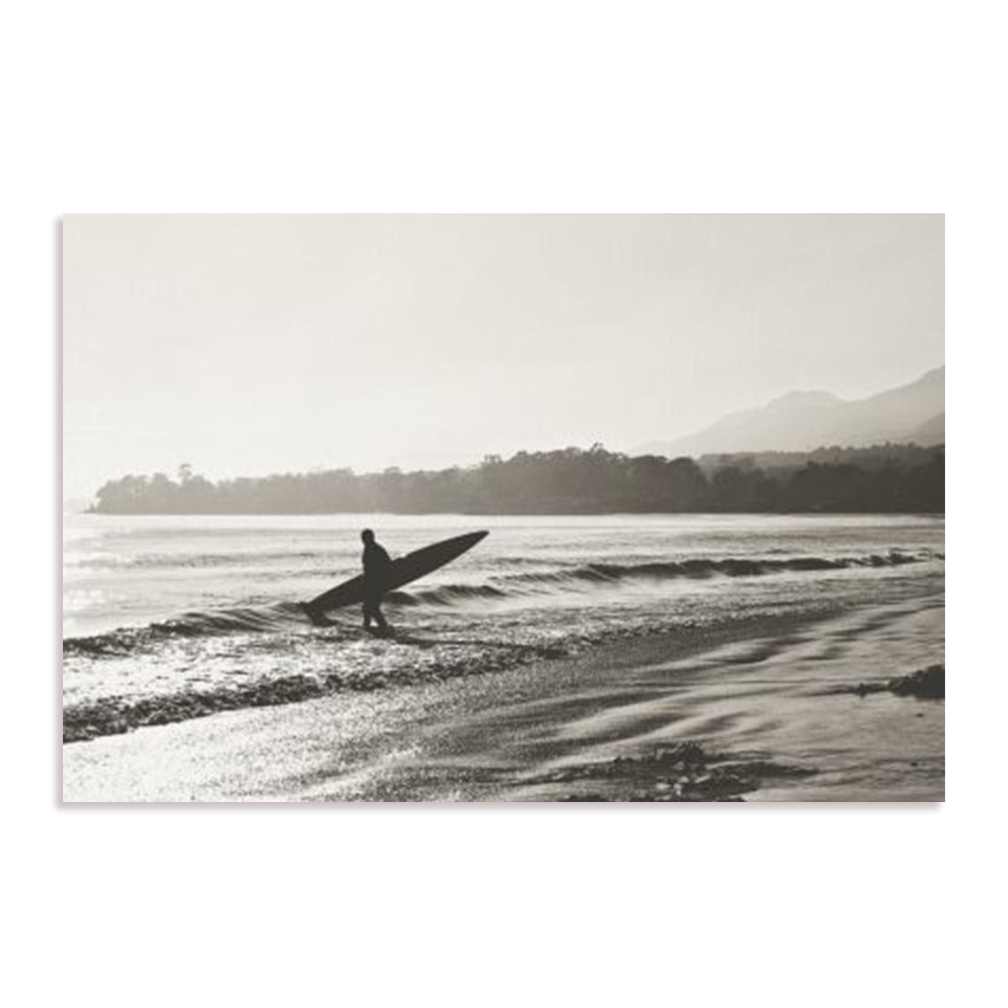 BW Surfer
