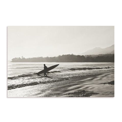 BW Surfer