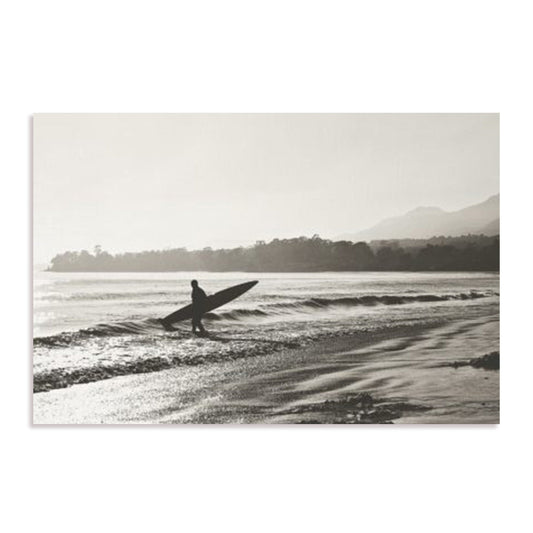 BW Surfer