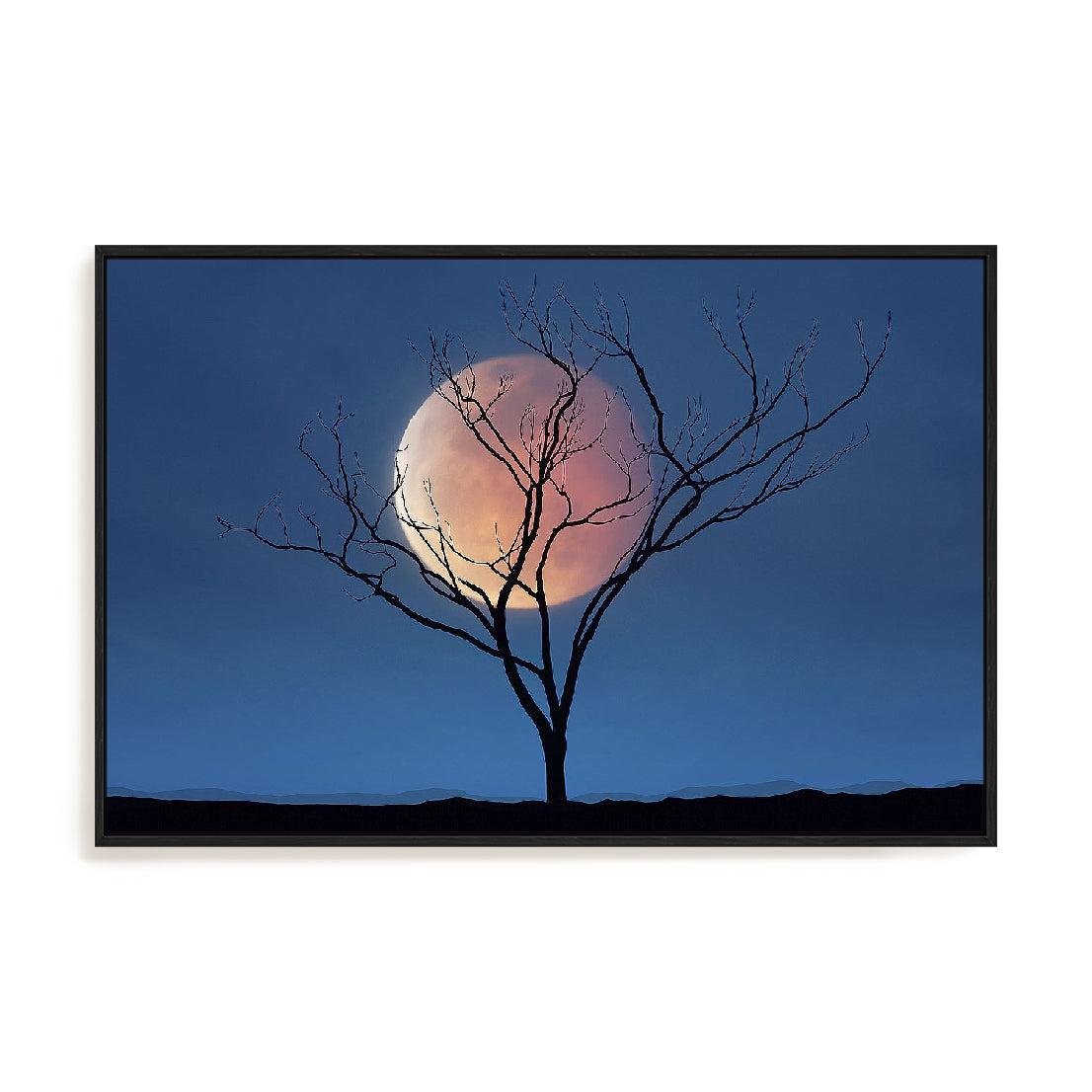 Celestial Affair II Wall Art