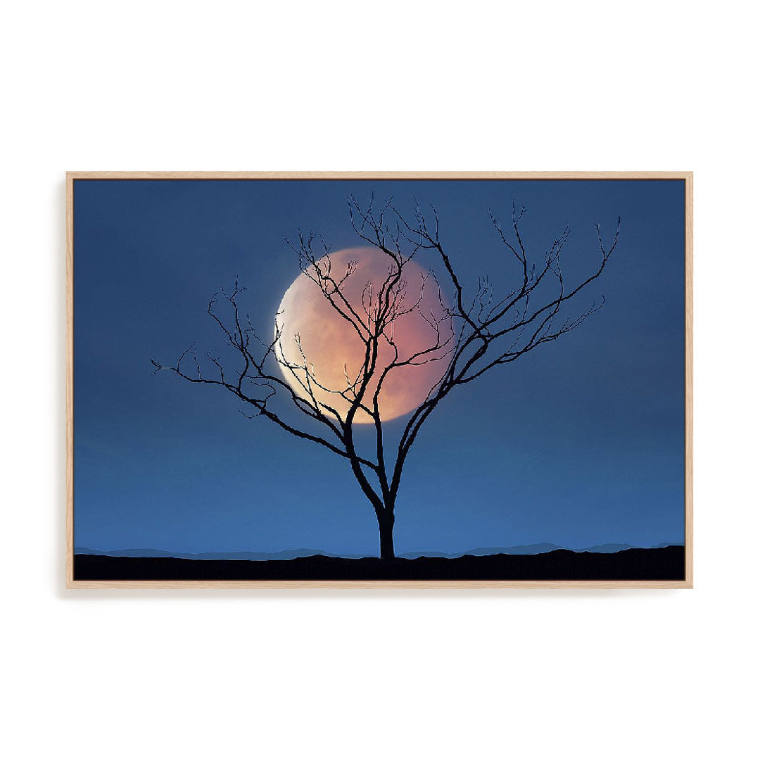 Celestial Affair II Wall Art