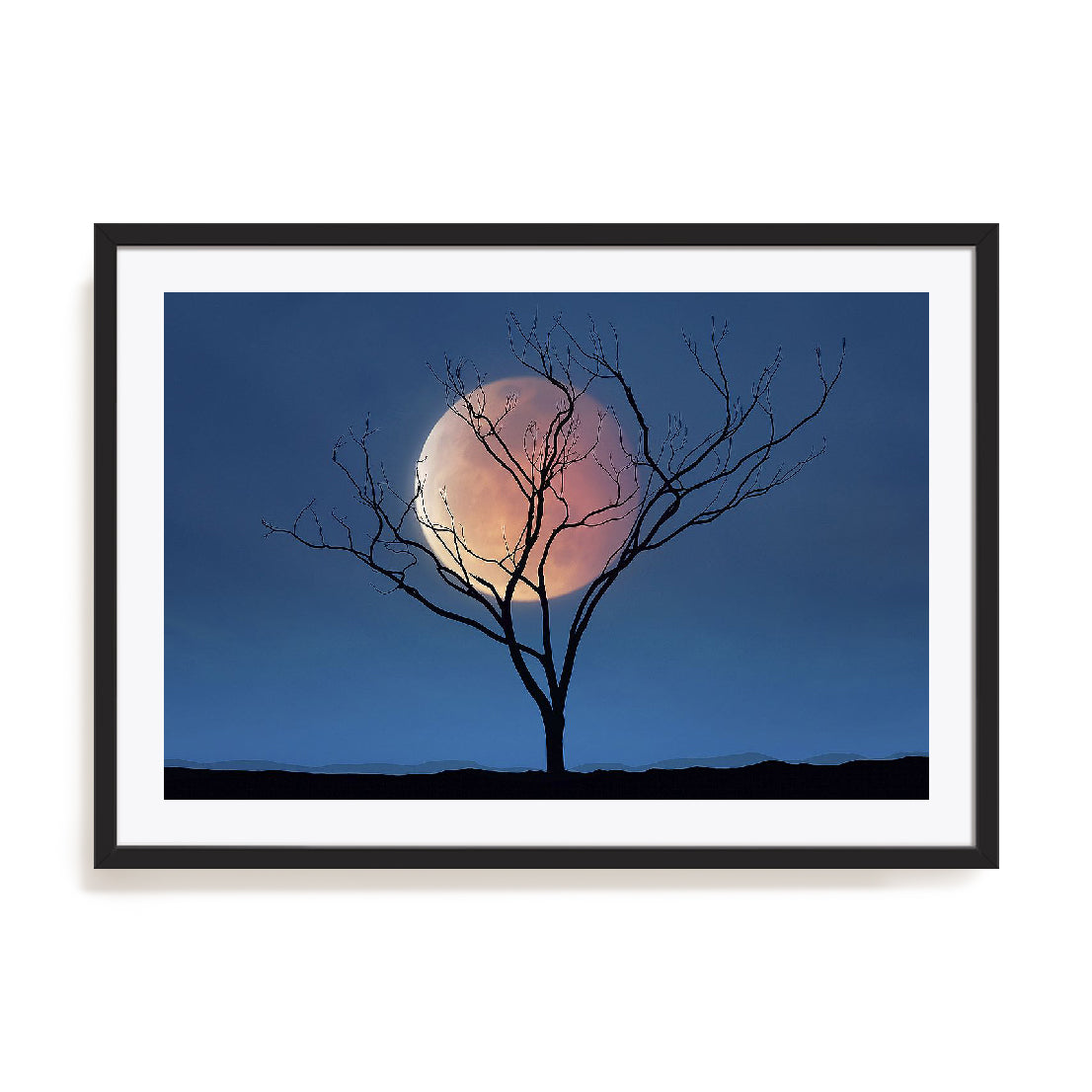 Celestial Affair II Wall Art