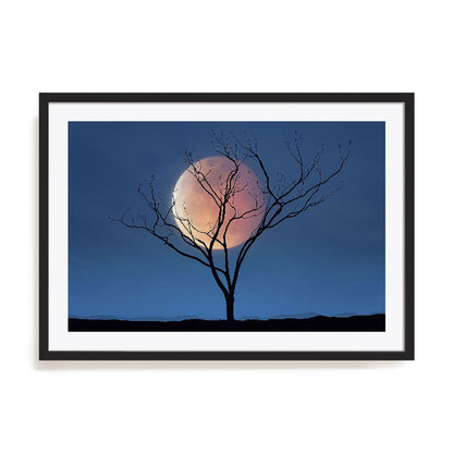 Celestial Affair II Wall Art