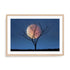 Celestial Affair II Wall Art