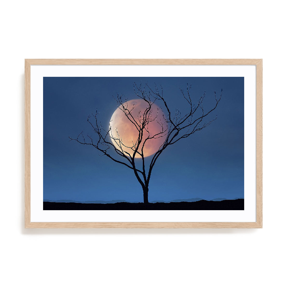 Celestial Affair II Wall Art