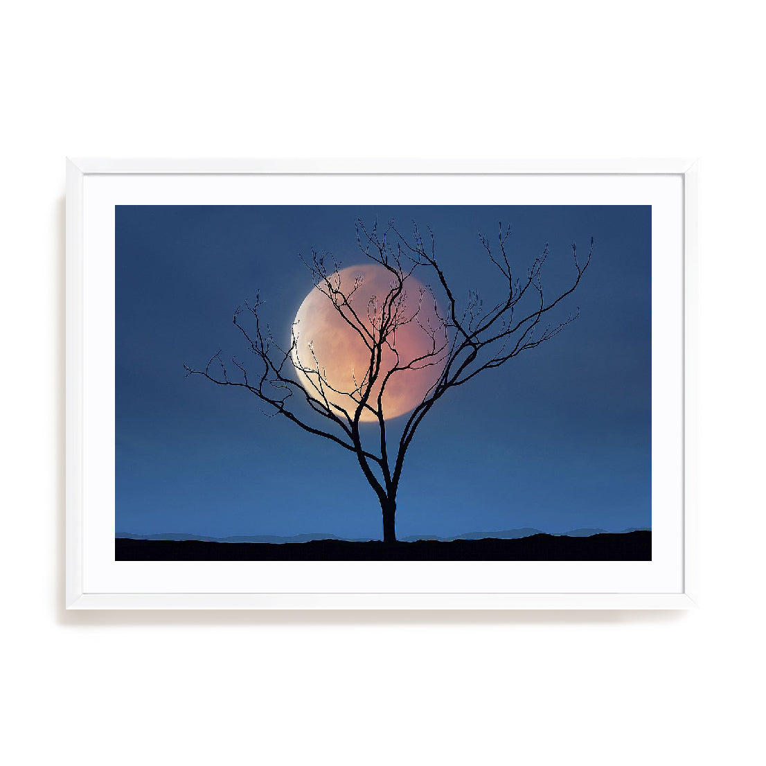 Celestial Affair II Wall Art