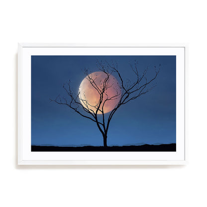 Celestial Affair II Wall Art