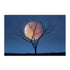 Celestial Affair II Wall Art