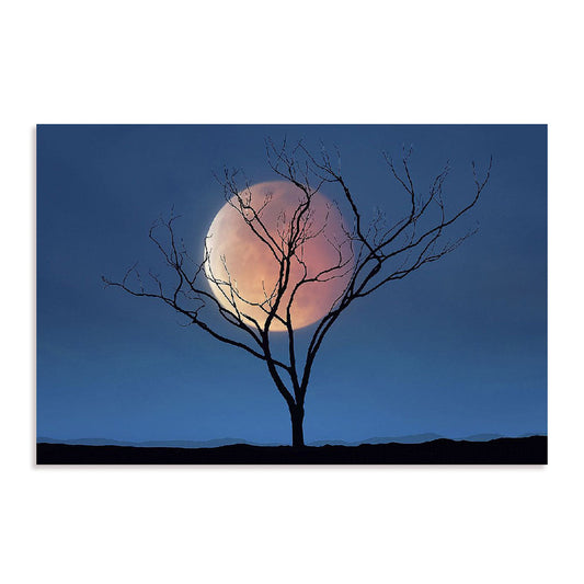 Celestial Affair II Wall Art