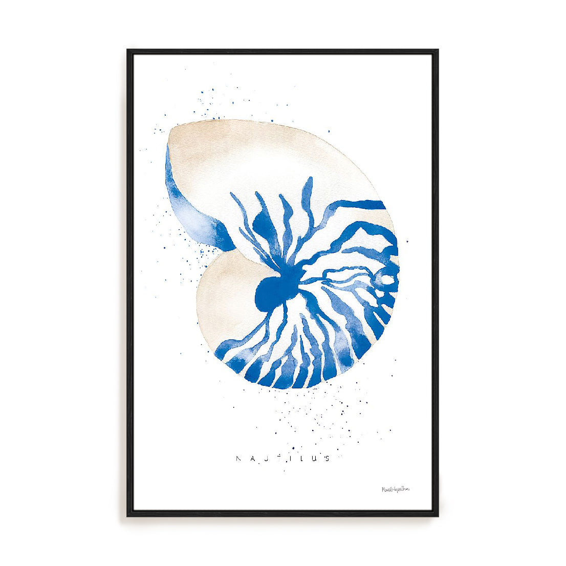 Nautilus Wall Art