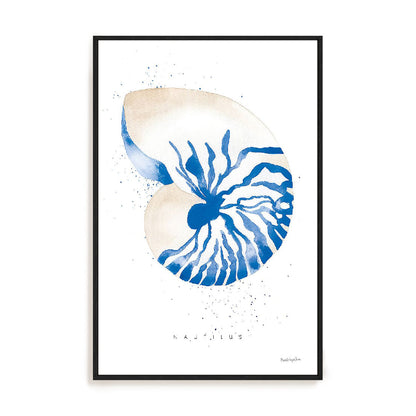 Nautilus Wall Art