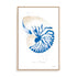 Nautilus Wall Art
