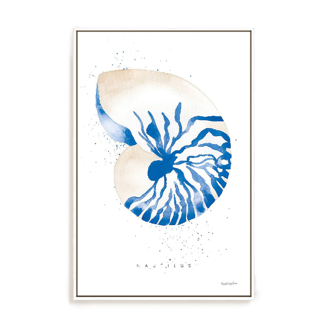 Nautilus Wall Art