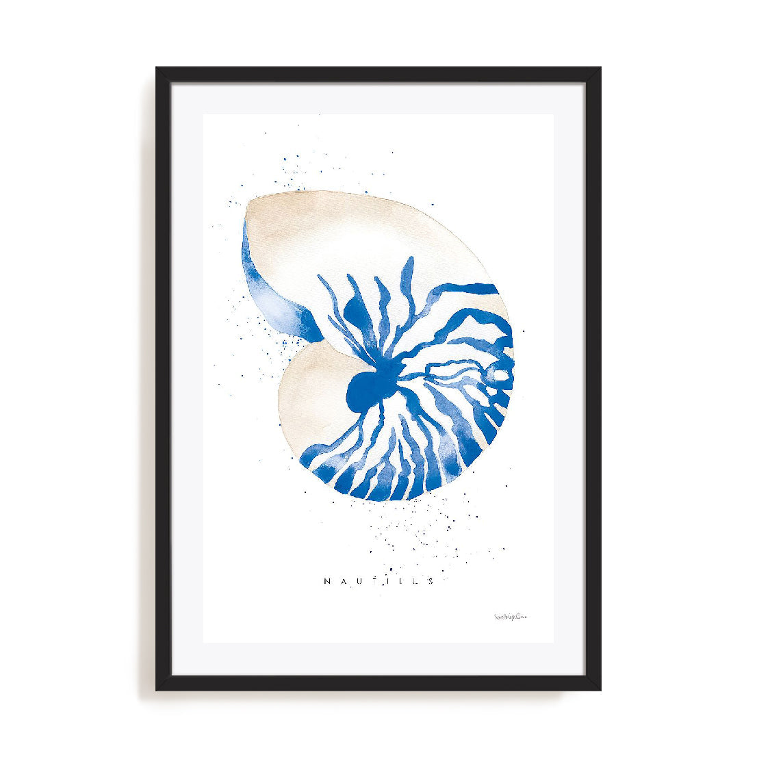 Nautilus Wall Art