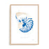 Nautilus Wall Art