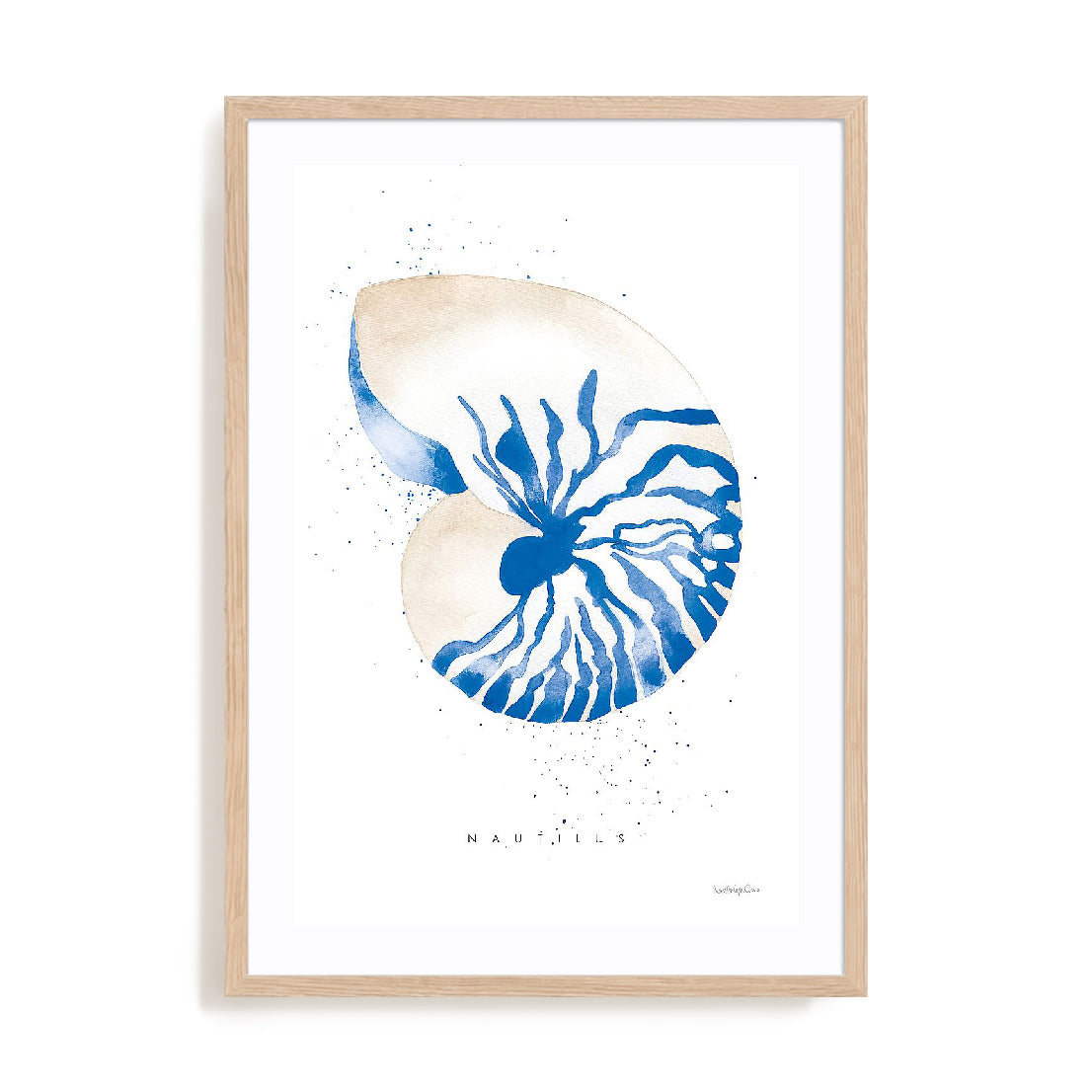 Nautilus Wall Art
