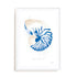 Nautilus Wall Art