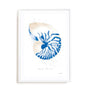 Nautilus Wall Art
