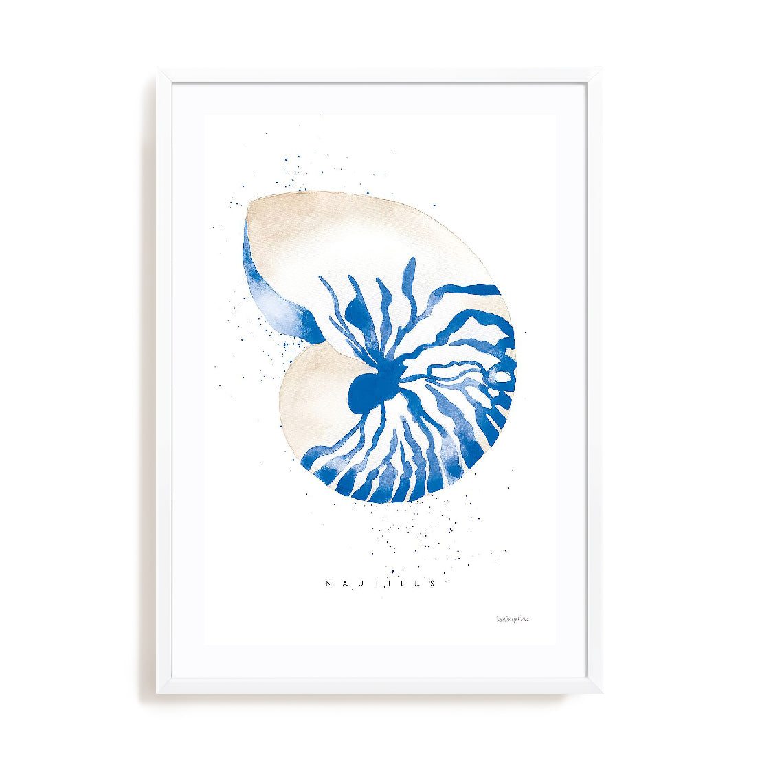 Nautilus Wall Art