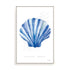 Scallop Shell Wall Art