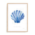 Scallop Shell Wall Art