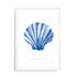 Scallop Shell Wall Art