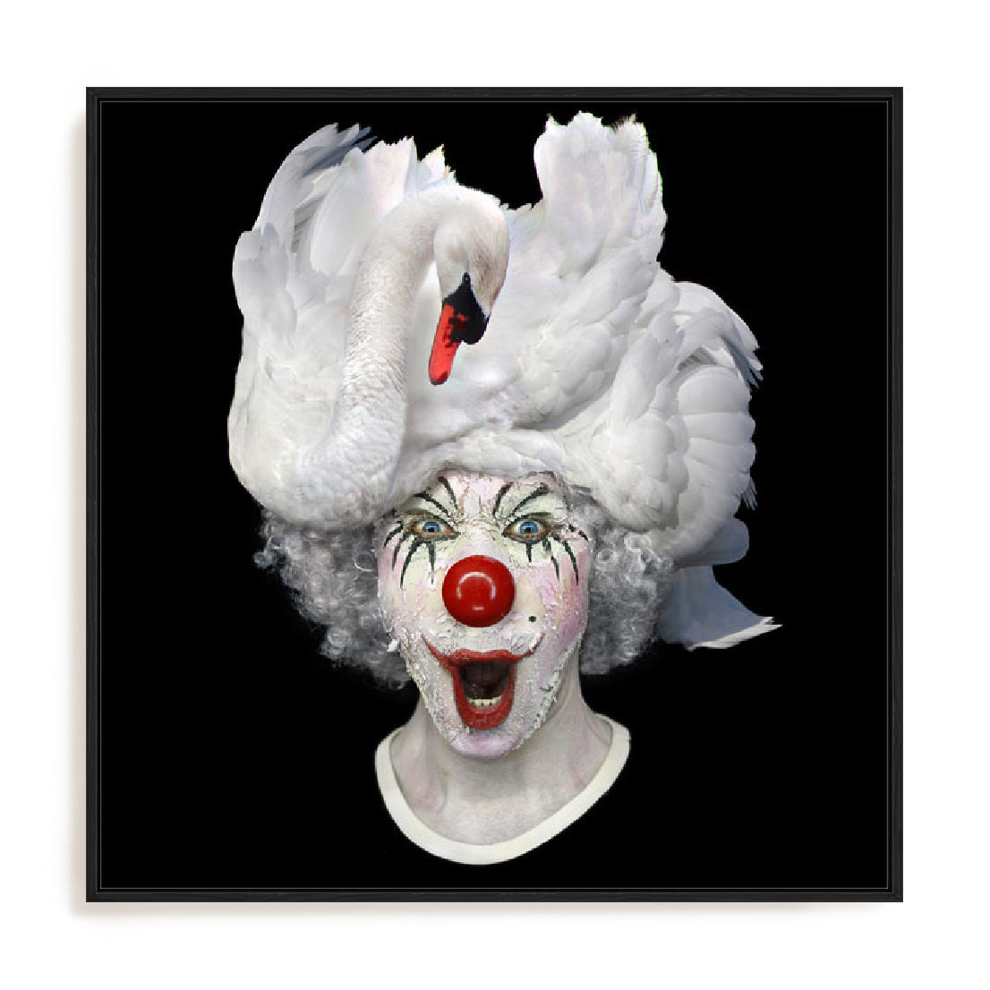 Swan Clown Wall Art