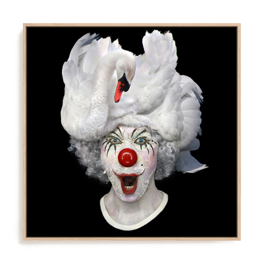 Swan Clown Wall Art