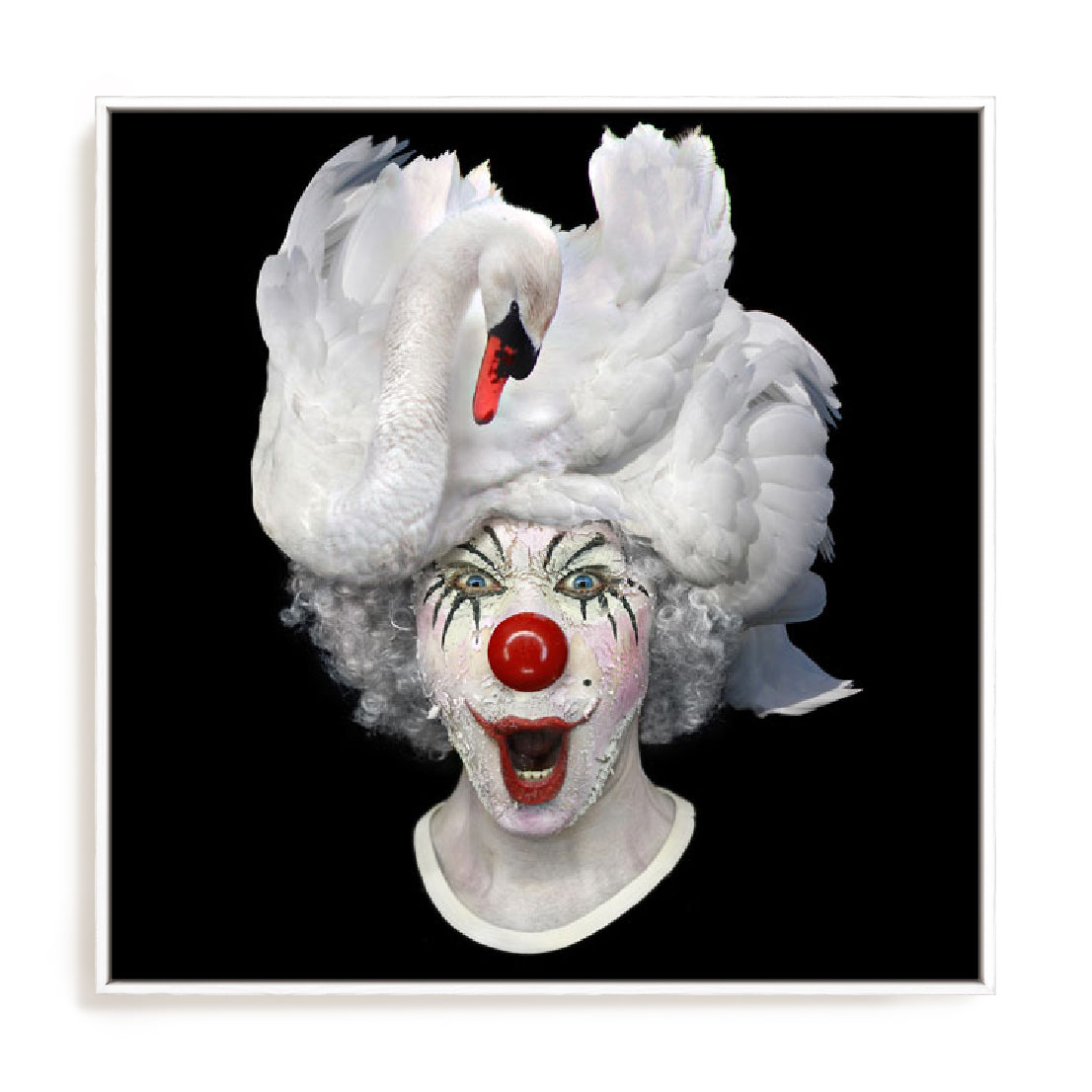 Swan Clown Wall Art