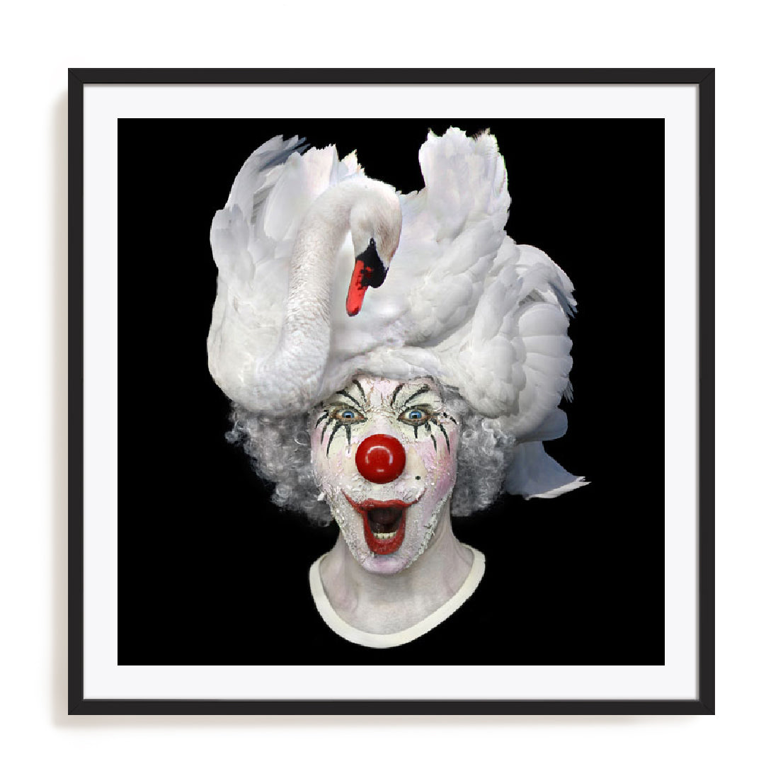 Swan Clown Wall Art