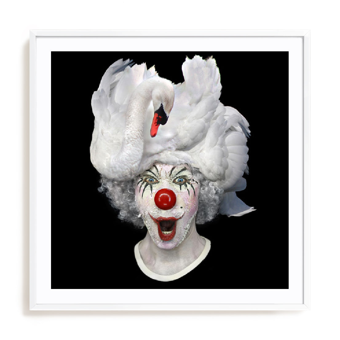 Swan Clown Wall Art
