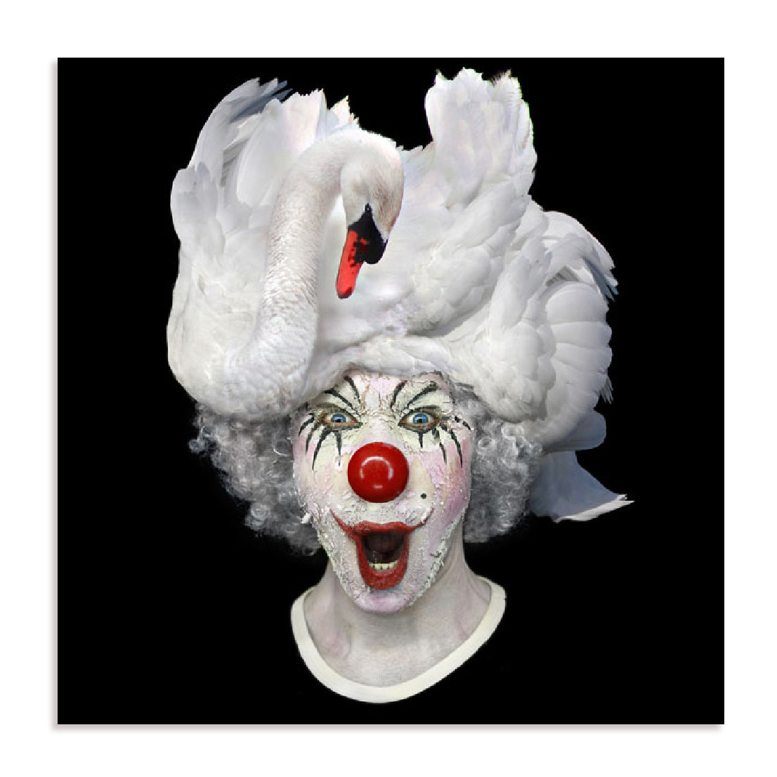Swan Clown Wall Art