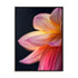 Orange Flower 10 Wall Art
