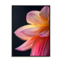 Orange Flower 10 Wall Art