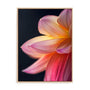 Orange Flower 10 Wall Art
