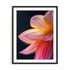 Orange Flower 10 Wall Art