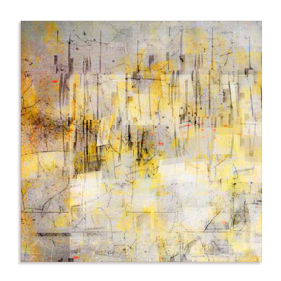 The Barren Land Wall Art