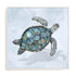 Blue Sea Turtle I Wall Art