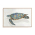 Coral Reef Turtle I Wall Art