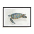 Coral Reef Turtle I Wall Art
