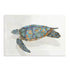 Coral Reef Turtle I Wall Art