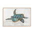 Coral Reef Turtle II Wall Art