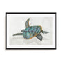 Coral Reef Turtle II Wall Art