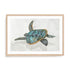Coral Reef Turtle II Wall Art